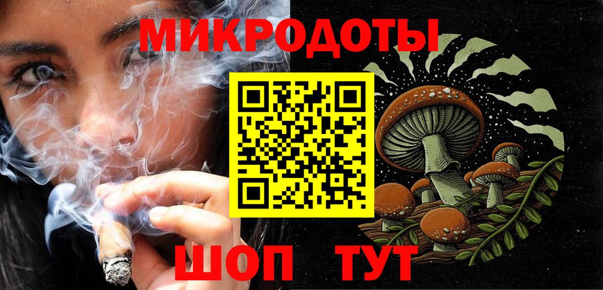 Галлюциногенные грибы Psilocybine cubensis Кулебаки